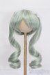 画像1: 8-9inch/ウィッグ S-25-06-22-293-GN-ZS (1)