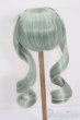 画像2: 8-9inch/ウィッグ S-25-06-22-293-GN-ZS (2)