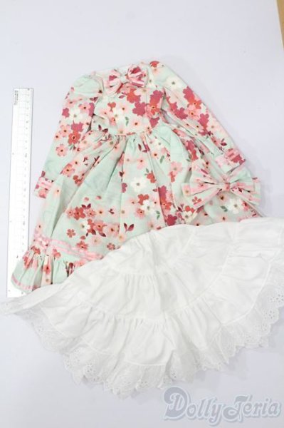 画像5: SD/OF:フリルワンピースセット Moonlit Rose様製 S-25-08-17-488-GN-ZS (5)