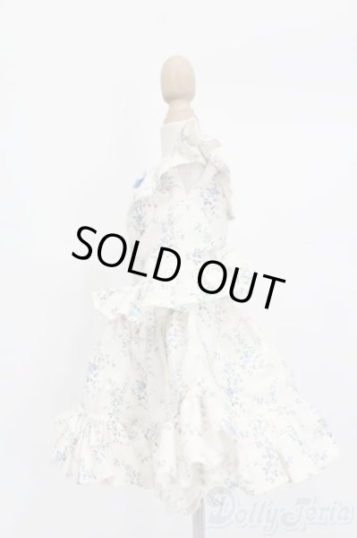 画像2: SDM＆MSD/OF:衣装セット S-25-11-09-436-GN-ZS (2)