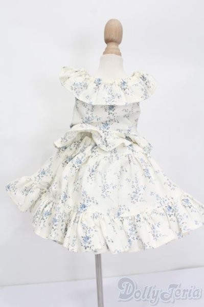 画像3: SDM＆MSD/OF:衣装セット S-25-11-09-436-GN-ZS (3)