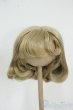 画像1: 9-10inch/ウィッグ Y-25-12-17-205-GN-ZY (1)