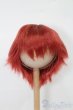 画像1: 7-8inch/ウィッグ S-25-08-03-227-GN-ZS (1)