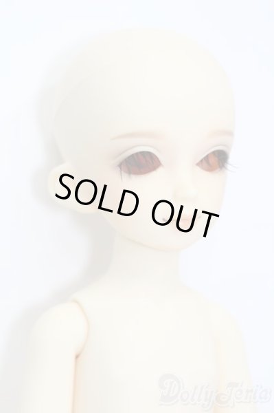 画像3: 幼SD/エディ S-25-11-16-467-GN-ZS (3)