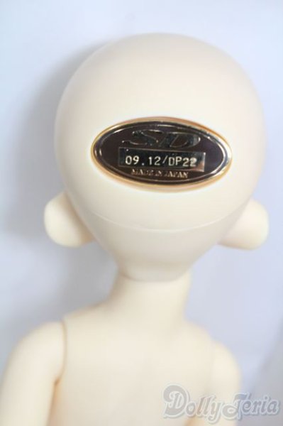 画像4: 幼SD/エディ S-25-11-16-467-GN-ZS (4)