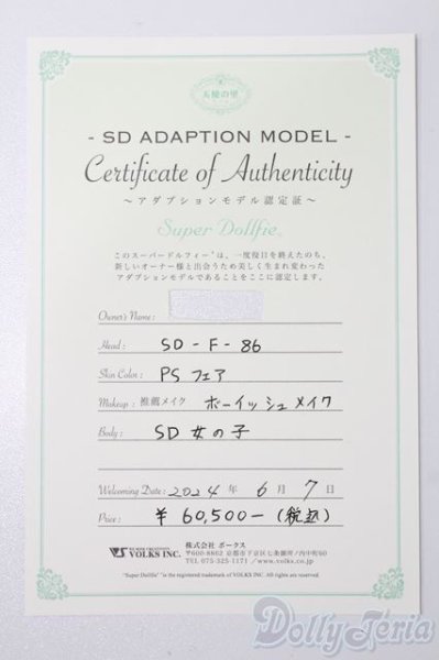 画像9: SD女の子/F-86 アダプションモデル S-25-11-09-053-GN-ZS (9)