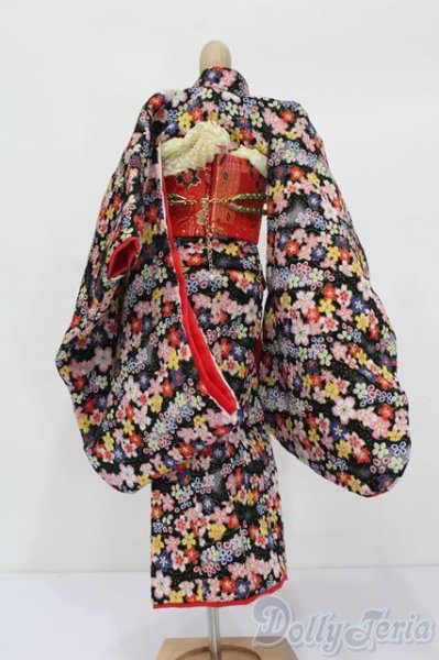 画像3: SDM＆MSD/OF:着物セット S-25-11-16-483-GN-ZS (3)