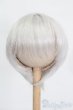 画像1: 7-8inch/ウィッグ S-25-07-13-100-GN-ZS (1)