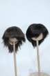 画像1: 8-9inch/ウィッグ Y-25-11-26-119-GN-ZY (1)