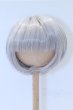 画像1: 9-10inch/ウィッグ S-26-01-18-100-GN-ZS (1)