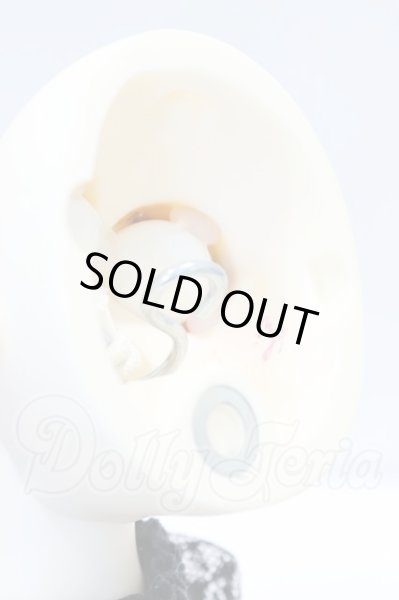 画像6: SDM女の子/ワンオフモデル F-83 つきみ様メイク S-26-04-19-003-GN-ZS (6)