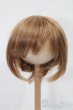 画像1: 8-9inch/ウィッグ S-25-08-03-264-GN-ZS (1)