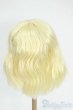 画像2: 9-10inch/ウィッグ Y-26-01-21-227-GN-ZY (2)