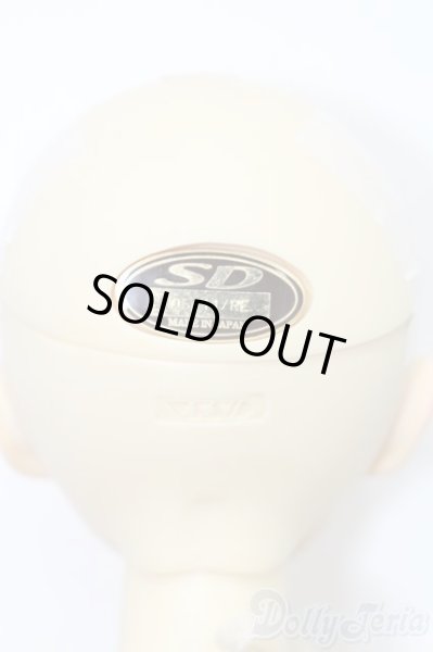 画像5: SD女の子/スタンダード キラ S-25-07-27-201-GN-ZS (5)