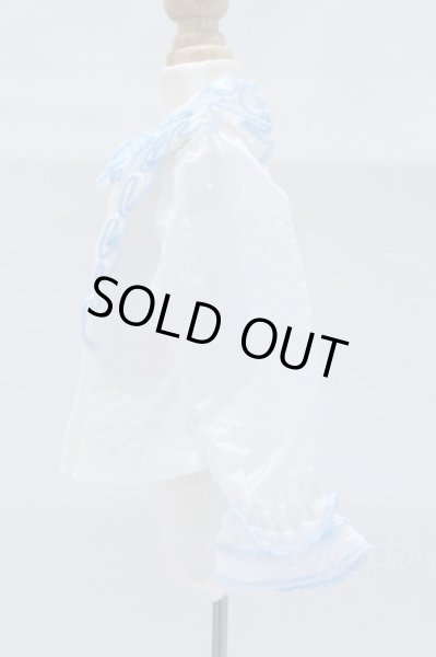 画像2: SDM/OF:衣装 S-26-01-11-026-GN-ZS (2)