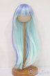 画像1: 9-10inch/ウィッグ S-25-08-10-234-GN-ZS (1)