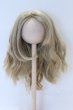 画像1: 7-8inch/ウィッグ S-26-01-18-082-SK-ZS (1)