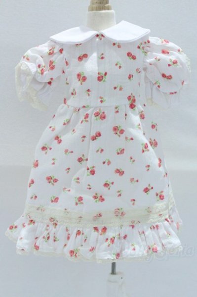 画像1: SDM＆MSD/OF:ワンピース S-25-12-07-018-SK-ZS (1)