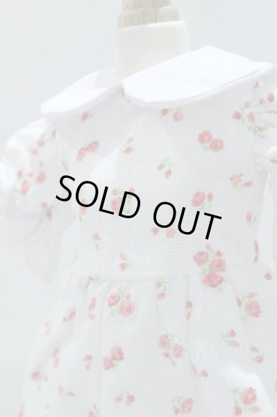 画像4: SDM＆MSD/OF:ワンピース S-25-12-07-018-SK-ZS (4)