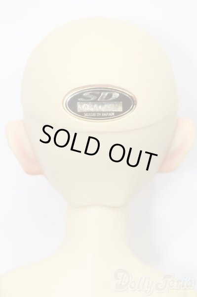 画像4: SD女の子/くん S-25-10-05-447-SK-ZS (4)