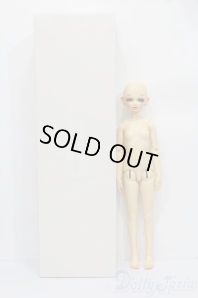 画像5: SD女の子/くん S-25-10-05-447-SK-ZS (5)