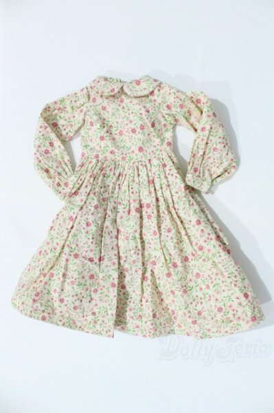 画像1: SD/OF:ワンピース S-25-11-09-040-SK-ZS (1)