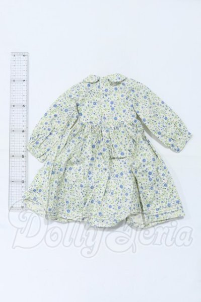 画像2: SD/OF:ワンピース S-26-02-15-077-SK-ZS (2)