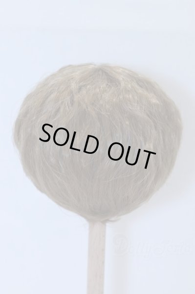 画像2: 8inch/ウィッグ S-26-02-08-091-YB-ZS (2)