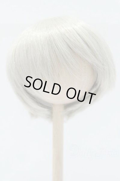 画像1: 9〜10inch/ウィッグ゛：LEEKEWORLD製　ARTWIG(L) Rowan_Evecocktail S-25-11-02-048-SK-ZS (1)