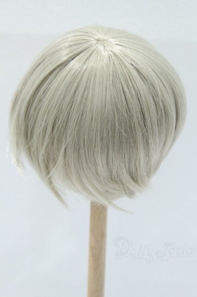 画像2: 9〜10inch/ウィッグ゛：LEEKEWORLD製　ARTWIG(L) Rowan_Evecocktail S-25-11-02-048-SK-ZS (2)