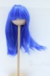 画像1: 8-9inch/ウィッグ S-25-11-02-046-YB-ZS (1)