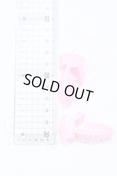 画像3: 幼SD/OF:靴 S-26-03-01-083-SK-ZS (3)