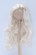 画像1: 8-9inch/ウィッグ S-26-02-22-095-SK-ZS (1)