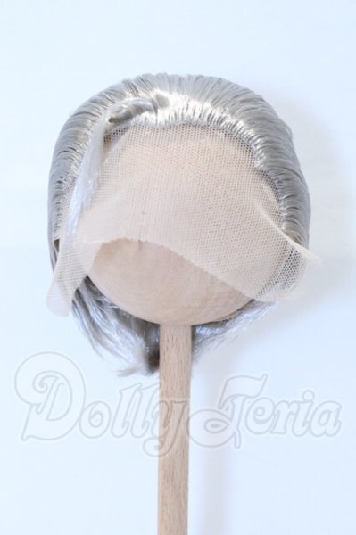 画像1: 8.5-9inch/ウィッグ S-26-02-22-012-SK-ZS (1)