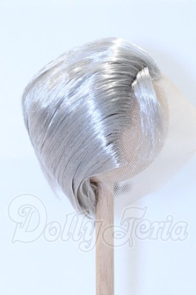 画像2: 8.5-9inch/ウィッグ S-26-02-22-012-SK-ZS (2)