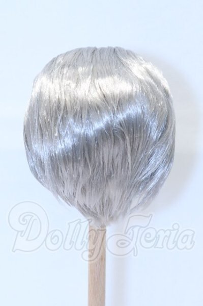 画像3: 8.5-9inch/ウィッグ S-26-02-22-012-SK-ZS (3)