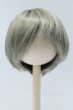 画像1: 8inch/ウィッグ S-25-10-19-049-SK-ZS (1)