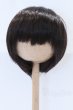 画像1: 9-10inch/ウィッグ S-26-01-25-066-SK-ZS (1)