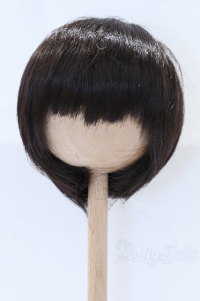 画像1: 9-10inch/ウィッグ S-26-01-25-066-SK-ZS (1)