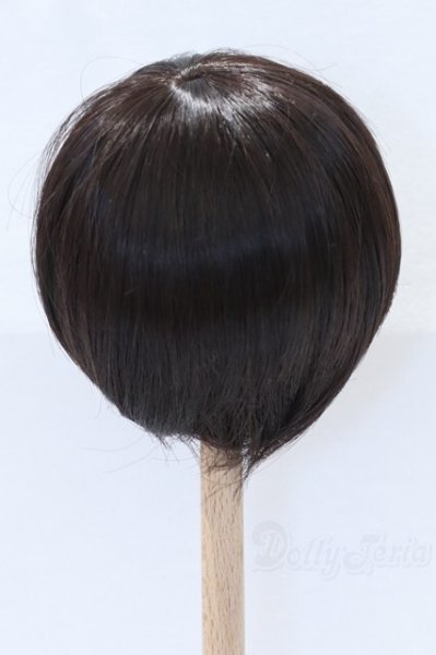 画像2: 9-10inch/ウィッグ S-26-01-25-066-SK-ZS (2)