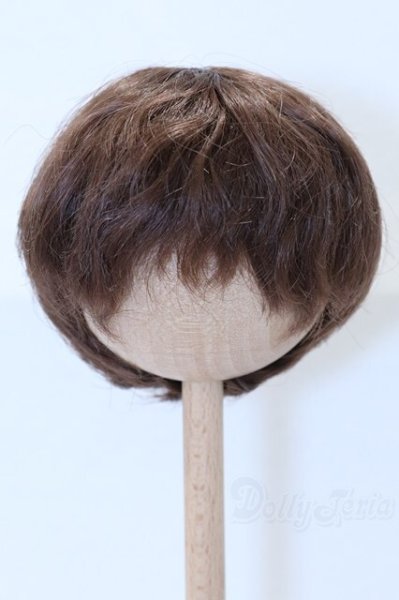 画像1: 8-9inch/ウィッグ S-26-01-11-100-SK-ZS (1)
