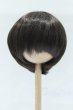 画像1: 8-9inch/ウィッグ S-25-11-02-044-SK-ZS (1)
