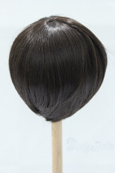 画像2: 8-9inch/ウィッグ S-25-11-02-044-SK-ZS (2)