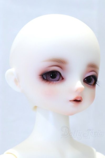 画像3: SDMGIRL/フルチョイス:F-80 S-26-02-01-003-YB-ZS (3)