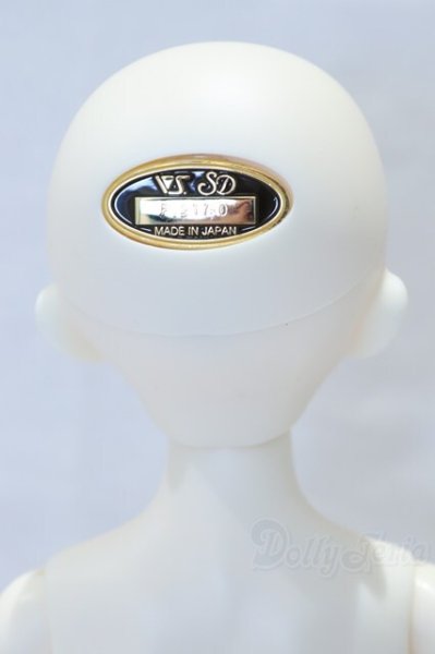 画像4: SDMGIRL/フルチョイス:F-80 S-26-02-01-003-YB-ZS (4)