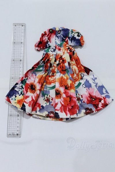 画像2: SDM＆MSD/OF:ワンピース S-26-02-08-073-SK-ZS (2)