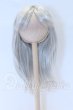 画像1: 7inch/ウィッグ S-26-03-29-037-YB-ZS (1)