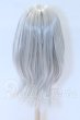 画像2: 7inch/ウィッグ S-26-03-29-037-YB-ZS (2)