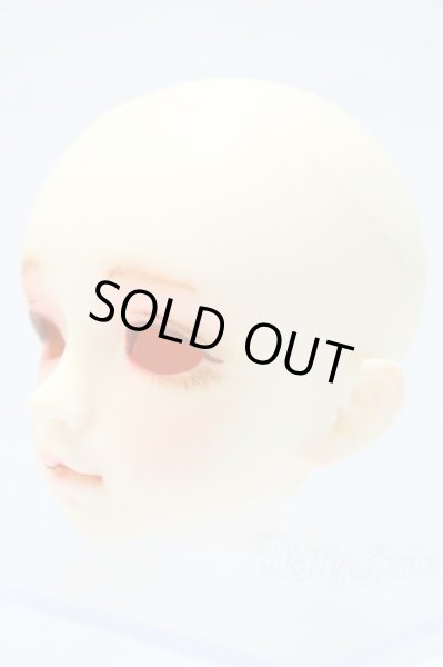 画像2: SDM/F-20 ヘッド S-25-11-02-008-SK-ZS (2)