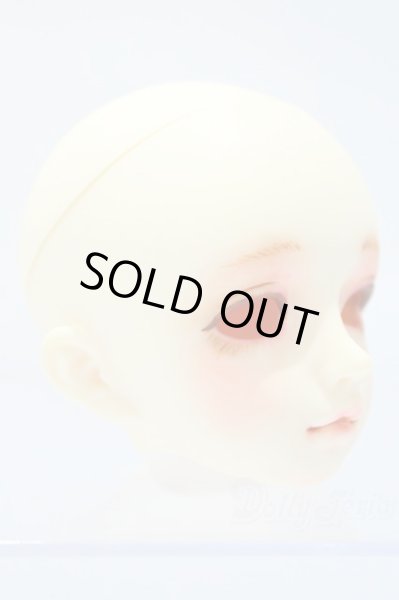 画像3: SDM/F-20 ヘッド S-25-11-02-008-SK-ZS (3)